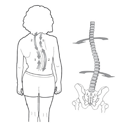 Иллюстрация к книге — Диагностика и лечение позвоночника. Уникальная система доктора А. М. Уриа [i_269.jpg]