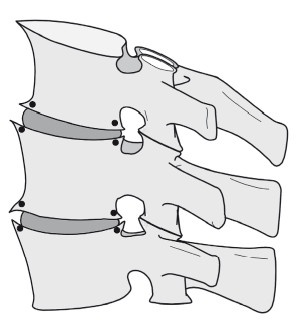 Иллюстрация к книге — Диагностика и лечение позвоночника. Уникальная система доктора А. М. Уриа [i_272.jpg]