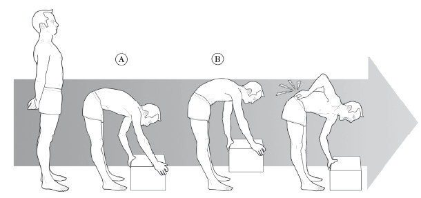 Иллюстрация к книге — Диагностика и лечение позвоночника. Уникальная система доктора А. М. Уриа [i_281.jpg]