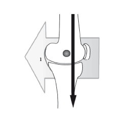 Иллюстрация к книге — Диагностика и лечение позвоночника. Уникальная система доктора А. М. Уриа [i_301.jpg]