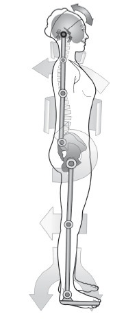 Иллюстрация к книге — Диагностика и лечение позвоночника. Уникальная система доктора А. М. Уриа [i_307.jpg]