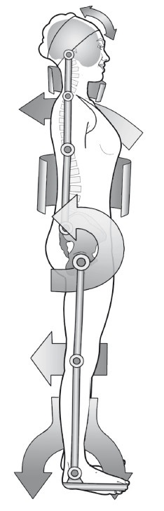 Иллюстрация к книге — Диагностика и лечение позвоночника. Уникальная система доктора А. М. Уриа [i_308.jpg]