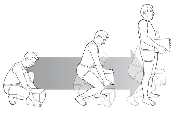 Иллюстрация к книге — Диагностика и лечение позвоночника. Уникальная система доктора А. М. Уриа [i_344.jpg]