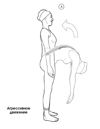 Иллюстрация к книге — Диагностика и лечение позвоночника. Уникальная система доктора А. М. Уриа [i_346.jpg]