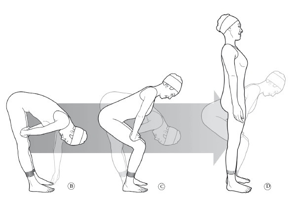 Иллюстрация к книге — Диагностика и лечение позвоночника. Уникальная система доктора А. М. Уриа [i_347.jpg]