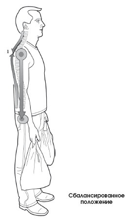 Иллюстрация к книге — Диагностика и лечение позвоночника. Уникальная система доктора А. М. Уриа [i_354.jpg]