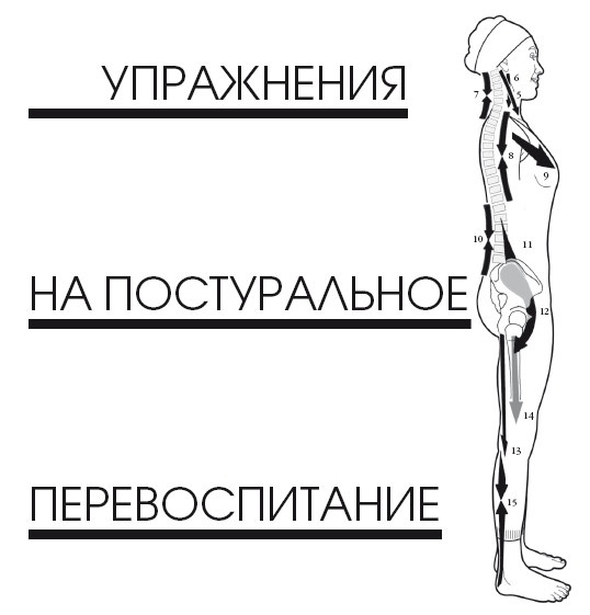 Иллюстрация к книге — Диагностика и лечение позвоночника. Уникальная система доктора А. М. Уриа [i_360.jpg]