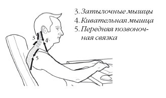 Иллюстрация к книге — Диагностика и лечение позвоночника. Уникальная система доктора А. М. Уриа [i_362.jpg]