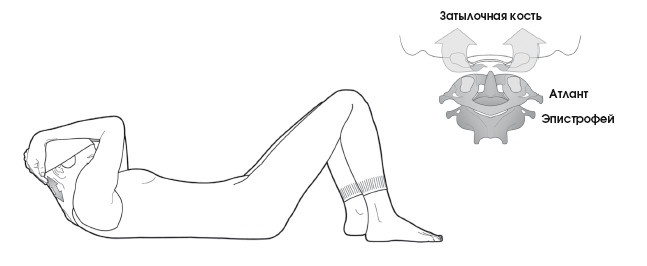 Иллюстрация к книге — Диагностика и лечение позвоночника. Уникальная система доктора А. М. Уриа [i_374.jpg]