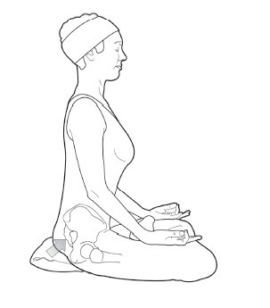 Иллюстрация к книге — Диагностика и лечение позвоночника. Уникальная система доктора А. М. Уриа [i_377.jpg]