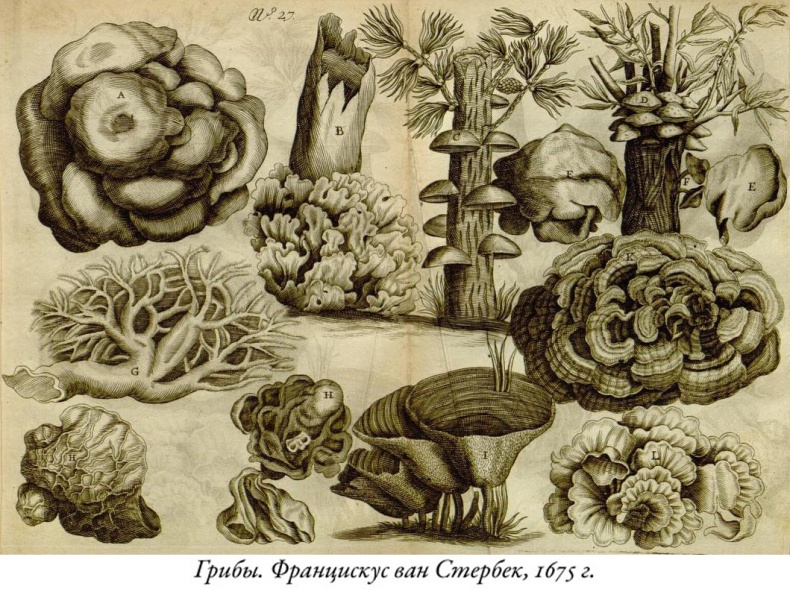 Иллюстрация к книге — Будущее Земли. Наша планета в борьбе за жизнь [i_003.jpg]