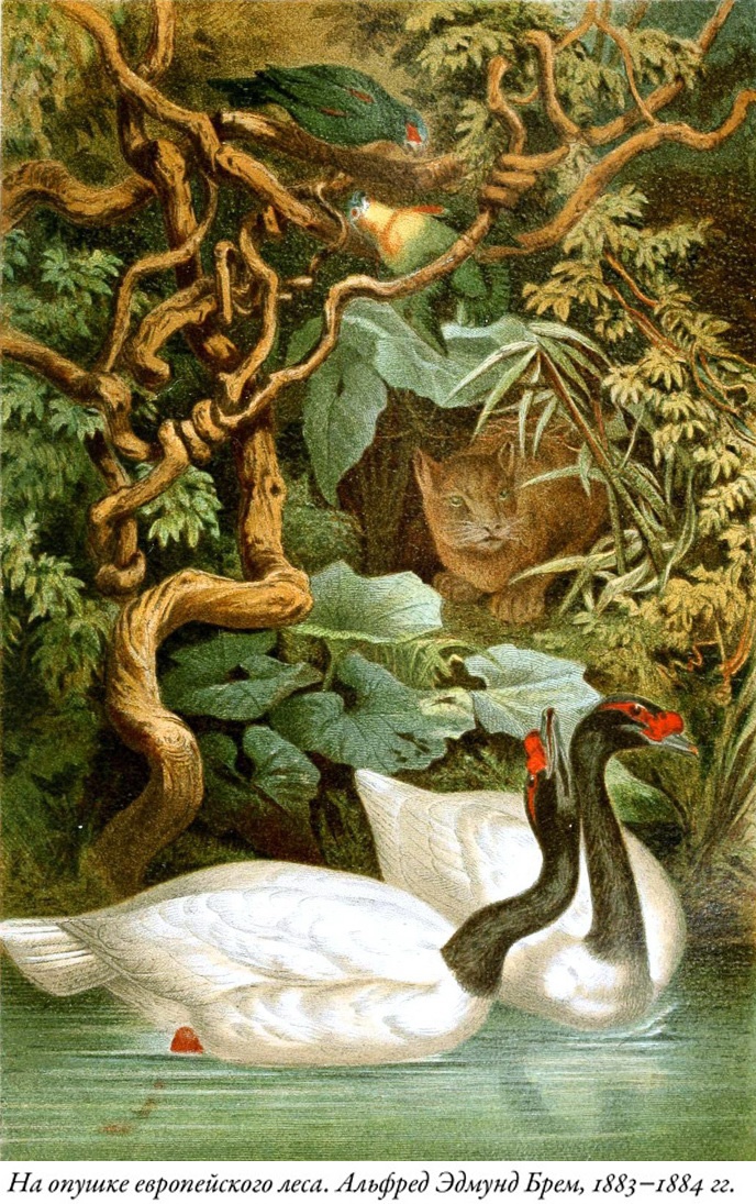 Иллюстрация к книге — Будущее Земли. Наша планета в борьбе за жизнь [i_005.jpg]