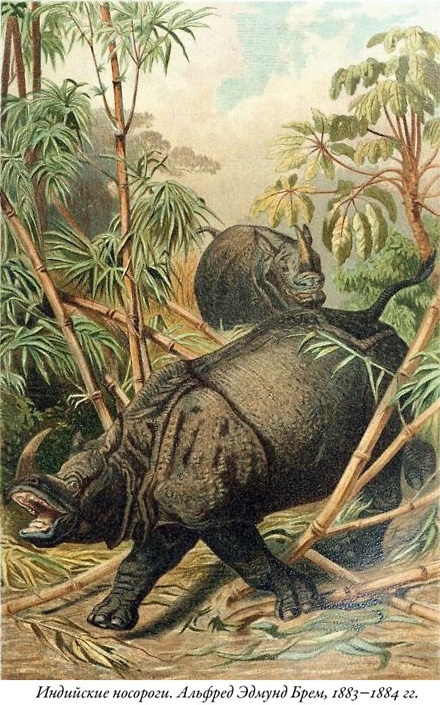 Иллюстрация к книге — Будущее Земли. Наша планета в борьбе за жизнь [i_008.jpg]