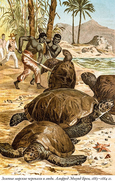 Иллюстрация к книге — Будущее Земли. Наша планета в борьбе за жизнь [i_010.jpg]