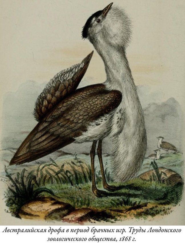 Иллюстрация к книге — Будущее Земли. Наша планета в борьбе за жизнь [i_011.jpg]