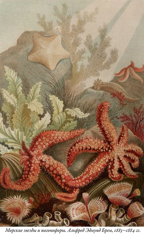 Иллюстрация к книге — Будущее Земли. Наша планета в борьбе за жизнь [i_014.jpg]