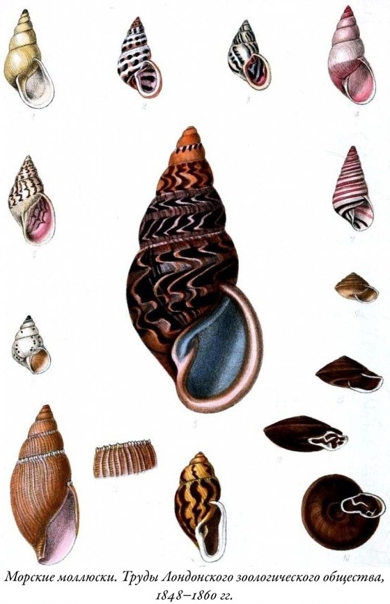 Иллюстрация к книге — Будущее Земли. Наша планета в борьбе за жизнь [i_017.jpg]