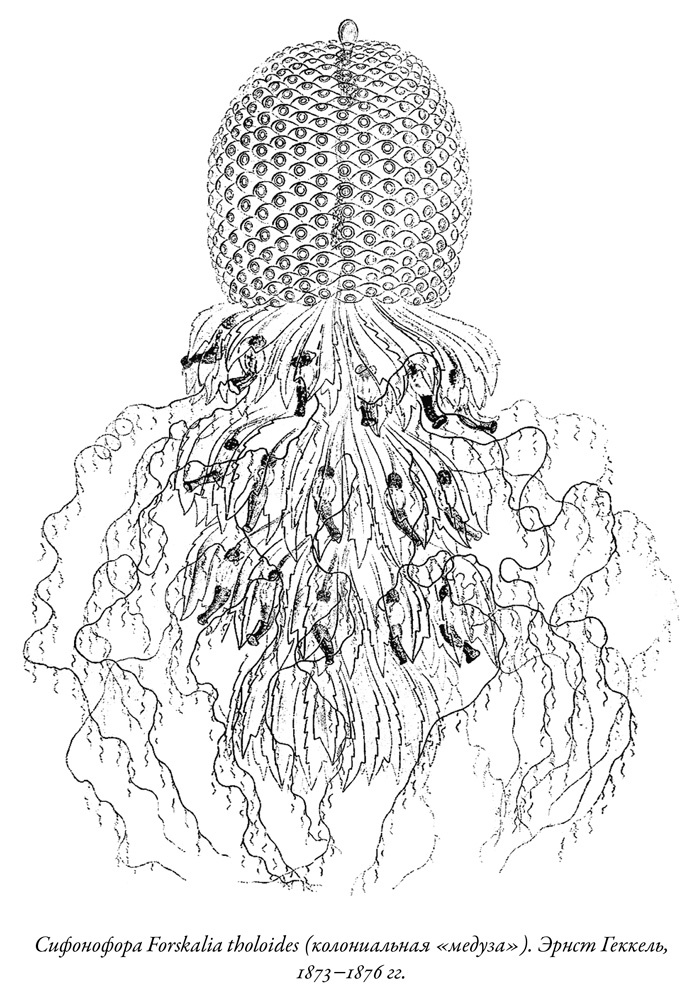 Иллюстрация к книге — Будущее Земли. Наша планета в борьбе за жизнь [i_024.jpg]