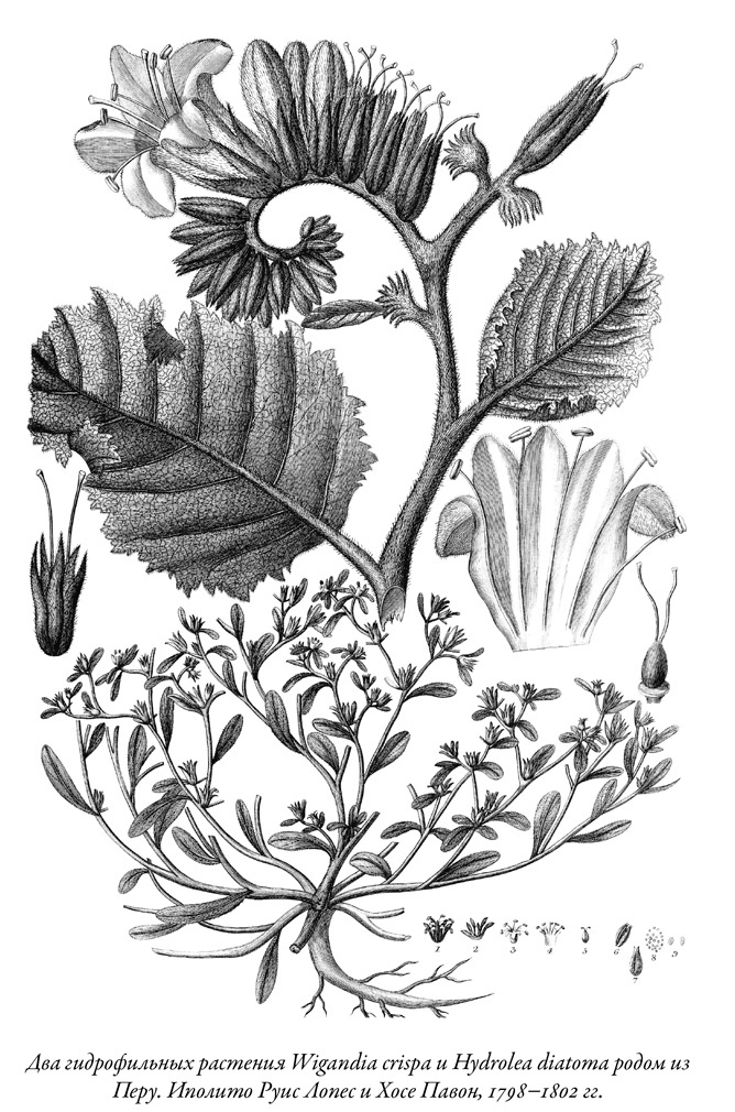 Иллюстрация к книге — Будущее Земли. Наша планета в борьбе за жизнь [i_029.jpg]