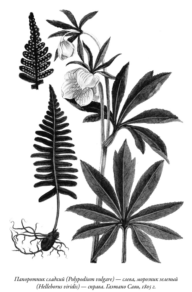 Иллюстрация к книге — Будущее Земли. Наша планета в борьбе за жизнь [i_033.jpg]