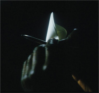 Иллюстрация к книге — Интерстеллар: наука за кадром [i_127.jpg]