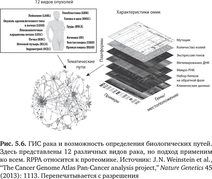 Иллюстрация к книге — Будущее медицины. Ваше здоровье в ваших руках [i_019.jpg]