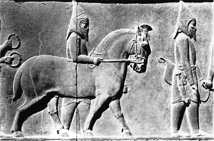 Иллюстрация к книге — Вызовы и ответы. Как гибнут цивилизации [_2.jpg]