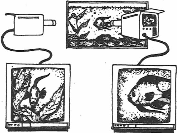 Иллюстрация к книге — Голографическая Вселенная. Новая теория реальности [i_008.jpg]