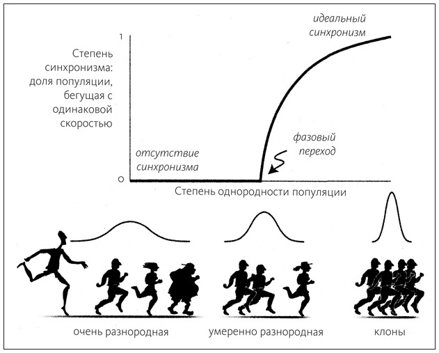 Иллюстрация к книге — Ритм вселенной. Как из хаоса возникает порядок [i_006.jpg]