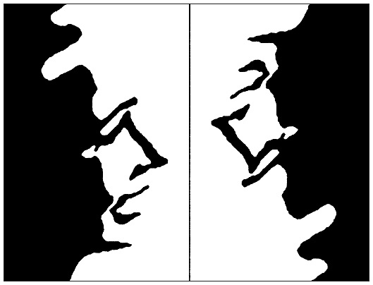 Иллюстрация к книге — Ритм вселенной. Как из хаоса возникает порядок [i_022.jpg]