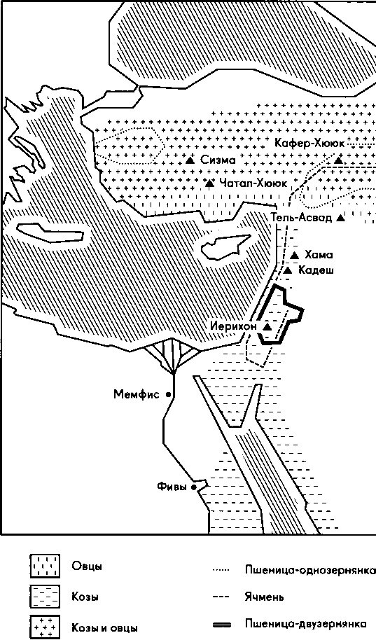 Иллюстрация к книге — Голодный город. Как еда определяет нашу жизнь [image2.jpg]