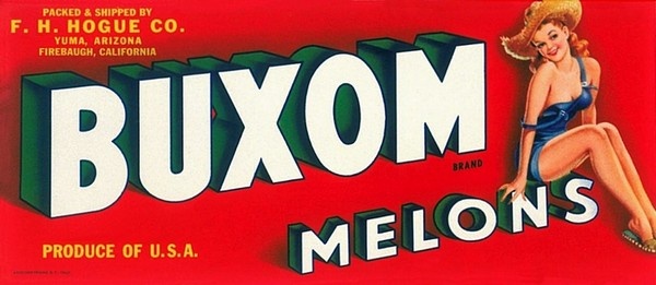 Иллюстрация к книге — История груди [i_076.jpg]