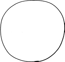 Иллюстрация к книге — Как не ошибаться. Сила математического мышления [i_023.jpg]