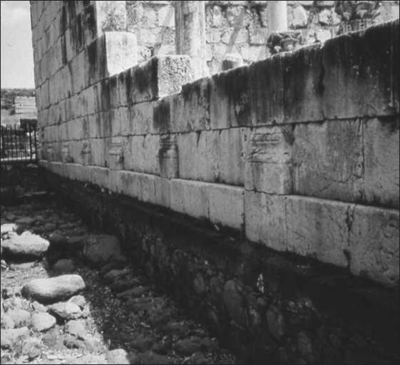 Иллюстрация к книге — Иисус и его мир. Новейшие открытия [i_010.jpg]