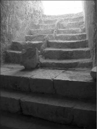 Иллюстрация к книге — Иисус и его мир. Новейшие открытия [i_026.jpg]