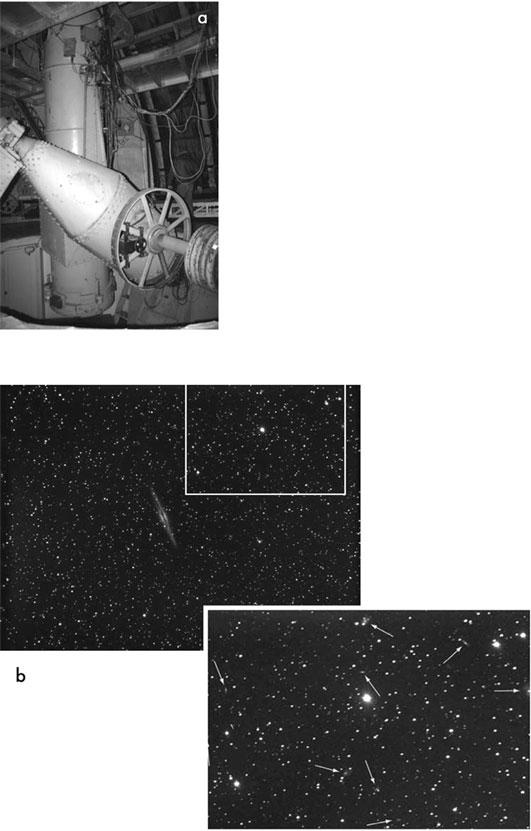 Иллюстрация к книге — Тайны мозга. Почему мы во все верим [_25.jpg]