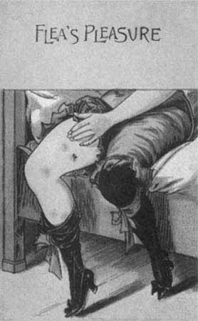 Иллюстрация к книге — Повседневная жизнь публичных домов во времена Мопассана и Золя [i_071.jpg]