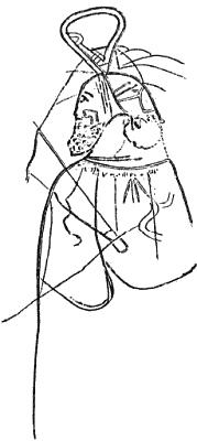 Иллюстрация к книге — Полынный мой путь [_39.jpg]