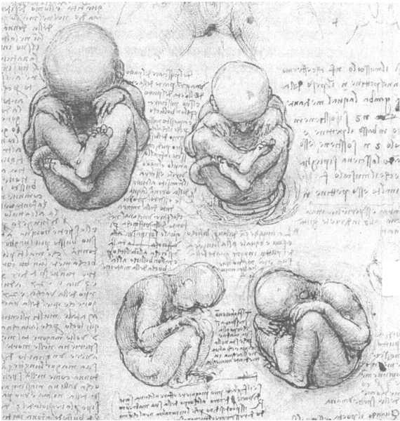 Иллюстрация к книге — 100 пророчеств Леонардо да Винчи [image10.jpg]