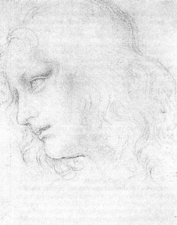 Иллюстрация к книге — 100 пророчеств Леонардо да Винчи [image19.jpg]