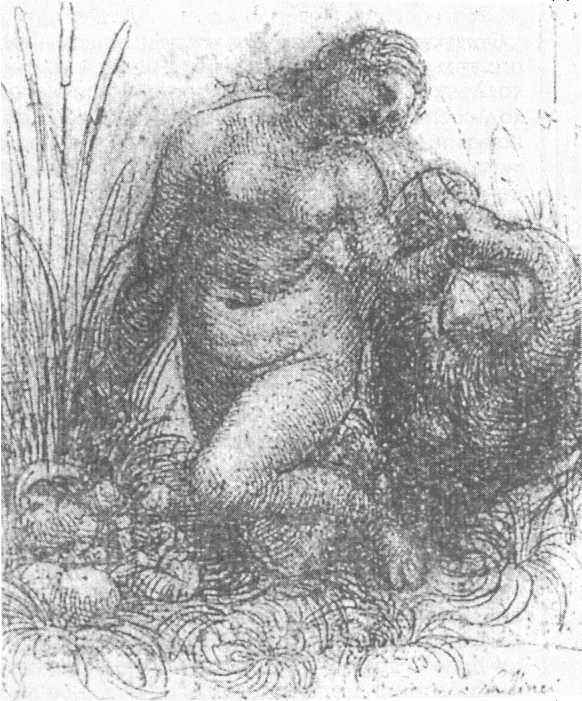 Иллюстрация к книге — 100 пророчеств Леонардо да Винчи [image20.jpg]