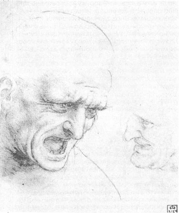 Иллюстрация к книге — 100 пророчеств Леонардо да Винчи [image31.jpg]