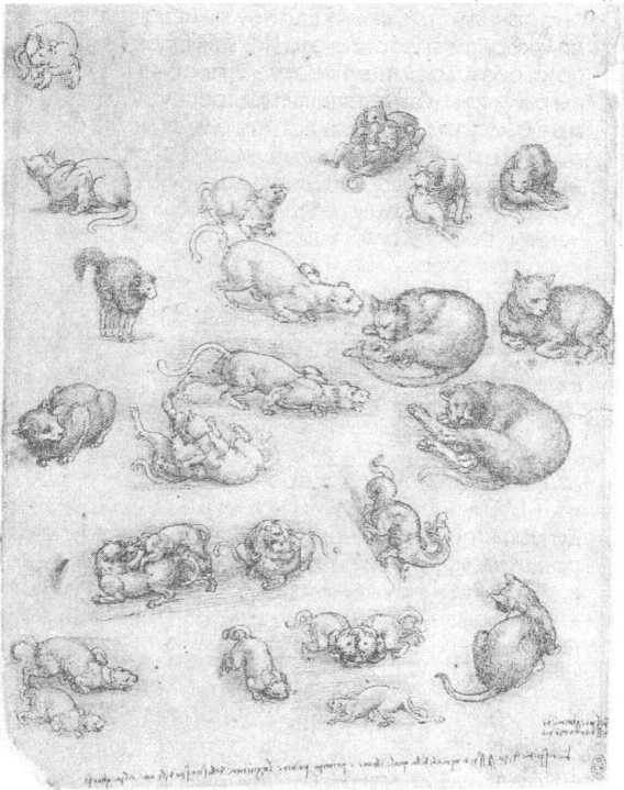 Иллюстрация к книге — 100 пророчеств Леонардо да Винчи [image36.jpg]