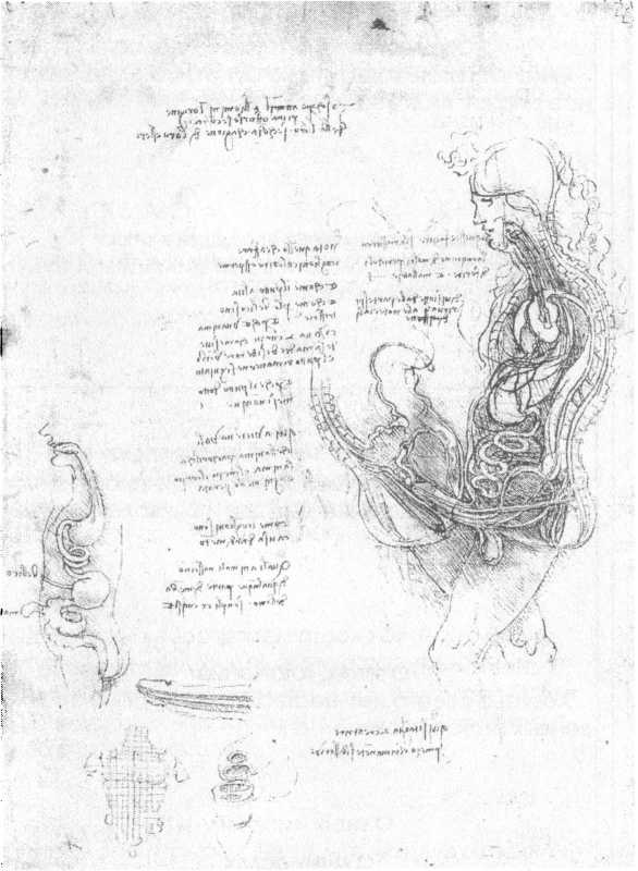 Иллюстрация к книге — 100 пророчеств Леонардо да Винчи [image7.jpg]