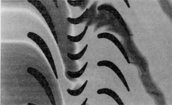 Иллюстрация к книге — Битва за скорость. Великая война авиамоторов [pic_32.jpg]