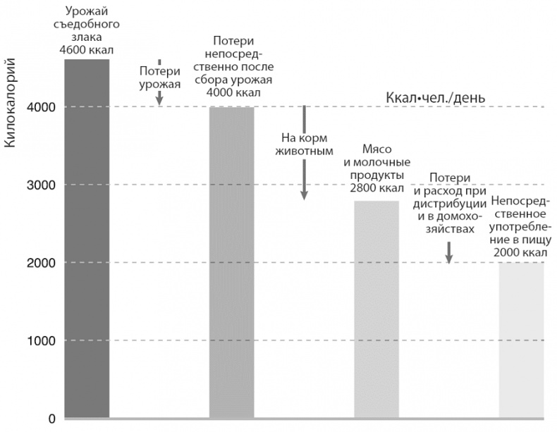 Иллюстрация к книге — Изобилие. Будущее будет лучше, чем вы думаете [i_020.jpg]