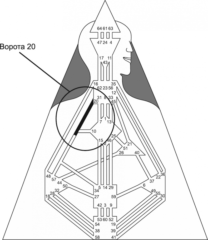Иллюстрация к книге — Новый дизайн счастливого человека. Как понять, кто ты на самом деле [i_070.jpg]