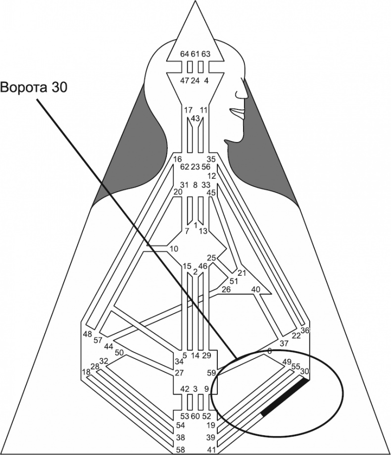 Иллюстрация к книге — Новый дизайн счастливого человека. Как понять, кто ты на самом деле [i_080.jpg]