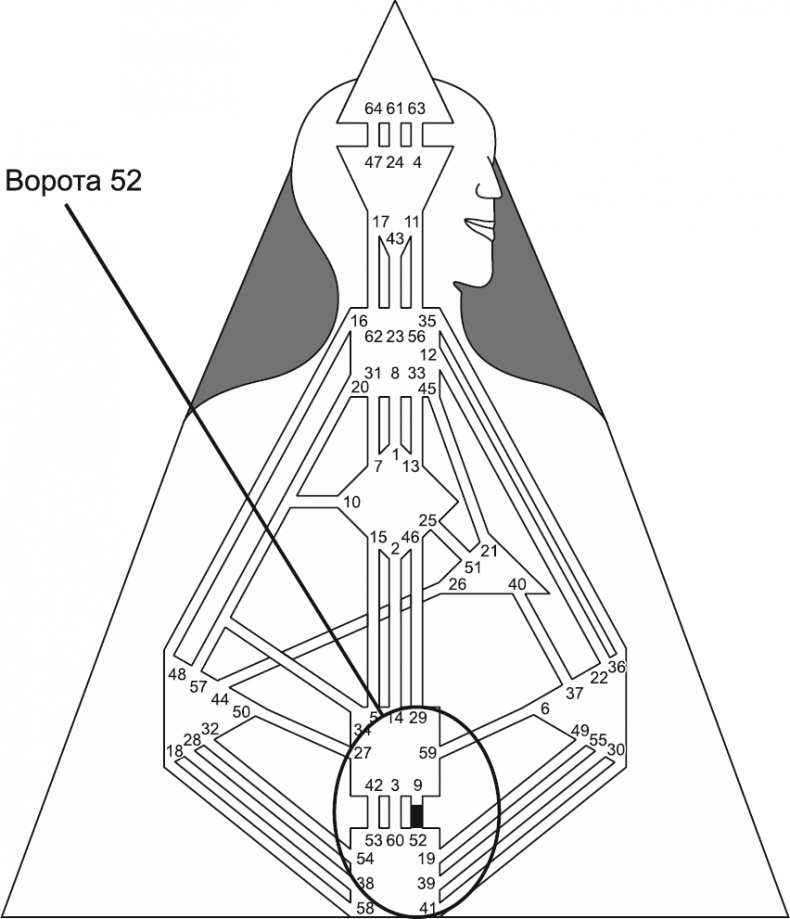 Иллюстрация к книге — Новый дизайн счастливого человека. Как понять, кто ты на самом деле [i_101.jpg]