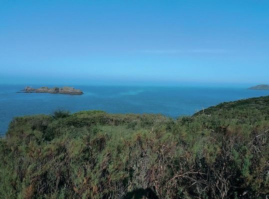 Иллюстрация к книге — Самая таинственная тайна и другие сюжеты [i_105.jpg]